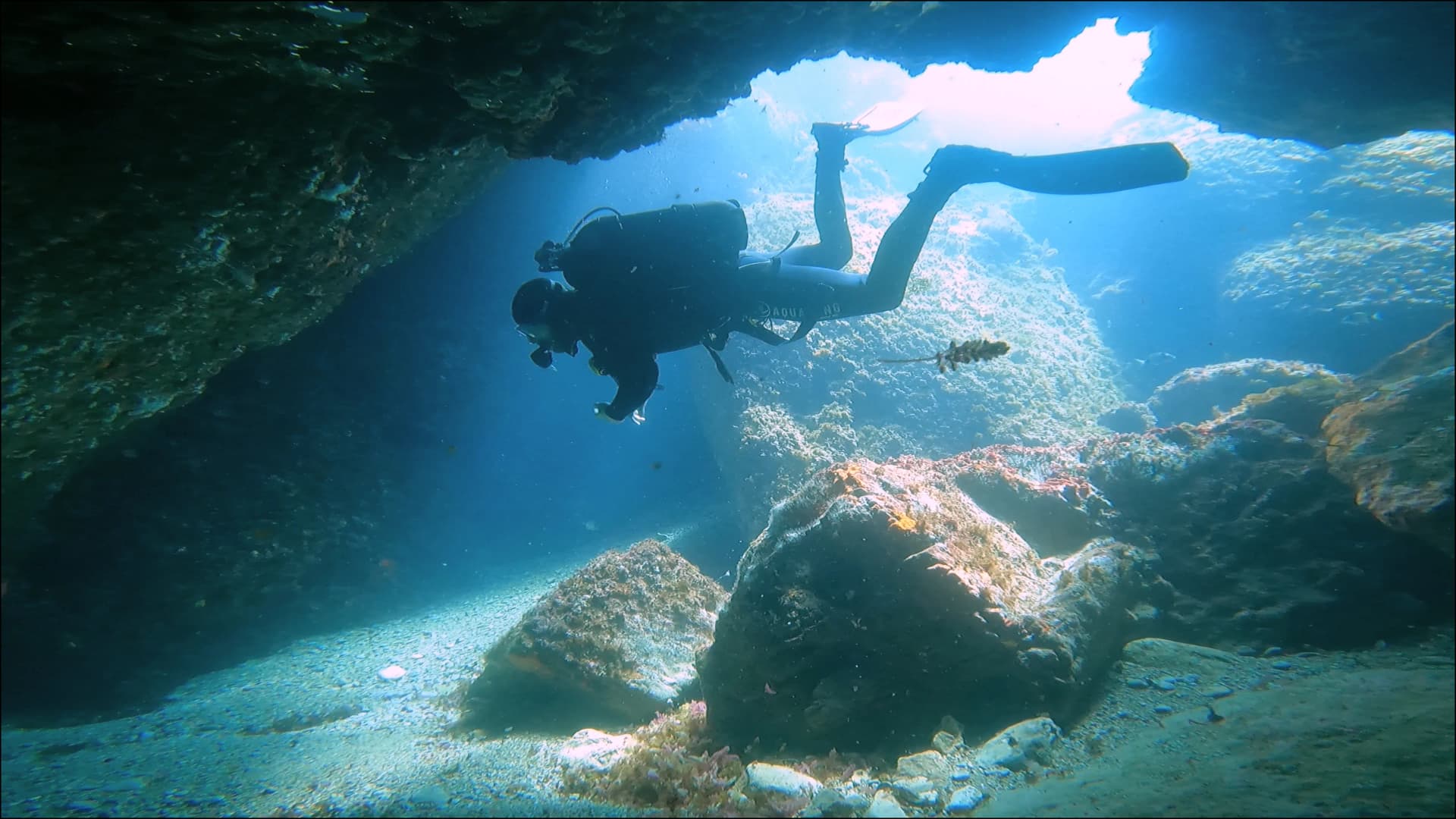 Buceo seguro en la Reserva Marina de Cabo Tiñoso - BuceaConRafa